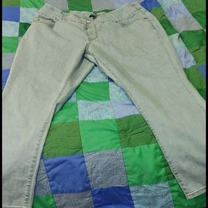 CHADWICKS Blue Slim Cut Comfort Waist Jeans SZ 20W